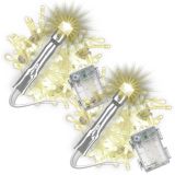 Sada vianočných LED reťazí, 100 LED, teplá biela, 2 ks