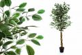 Umelá kvetina - Fikus 150 cm