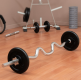 MAXXIVA Zakrivená obojručná EZ tyč, 120 cm, strieborná