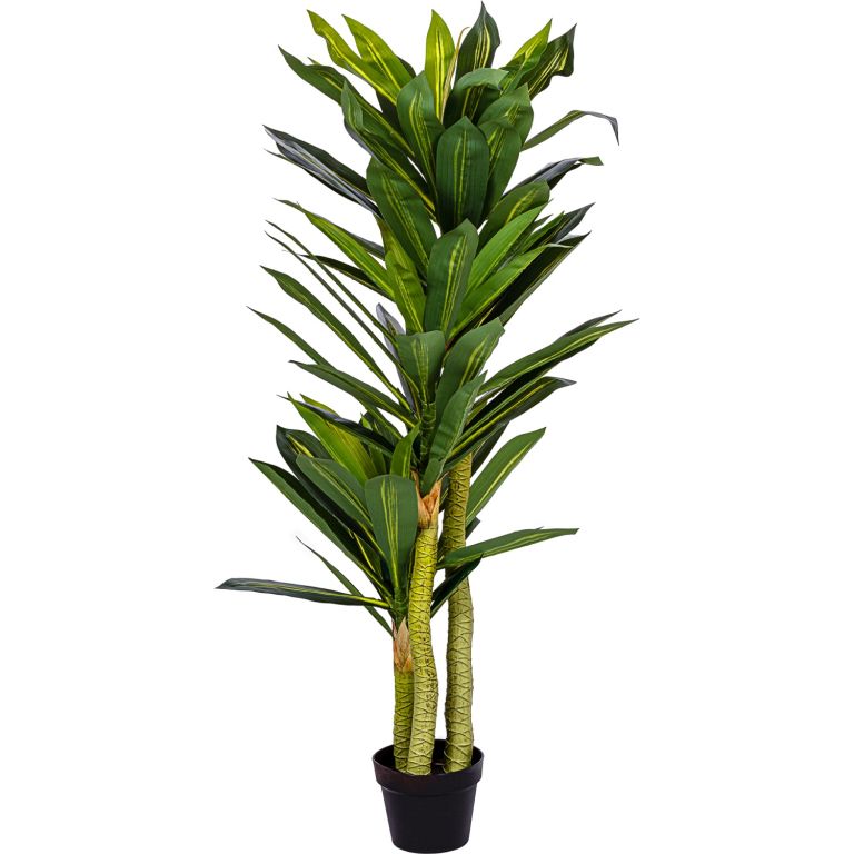 Obrázok PLANTASIA umelý strom Dracaena 120 cm, 81 listov