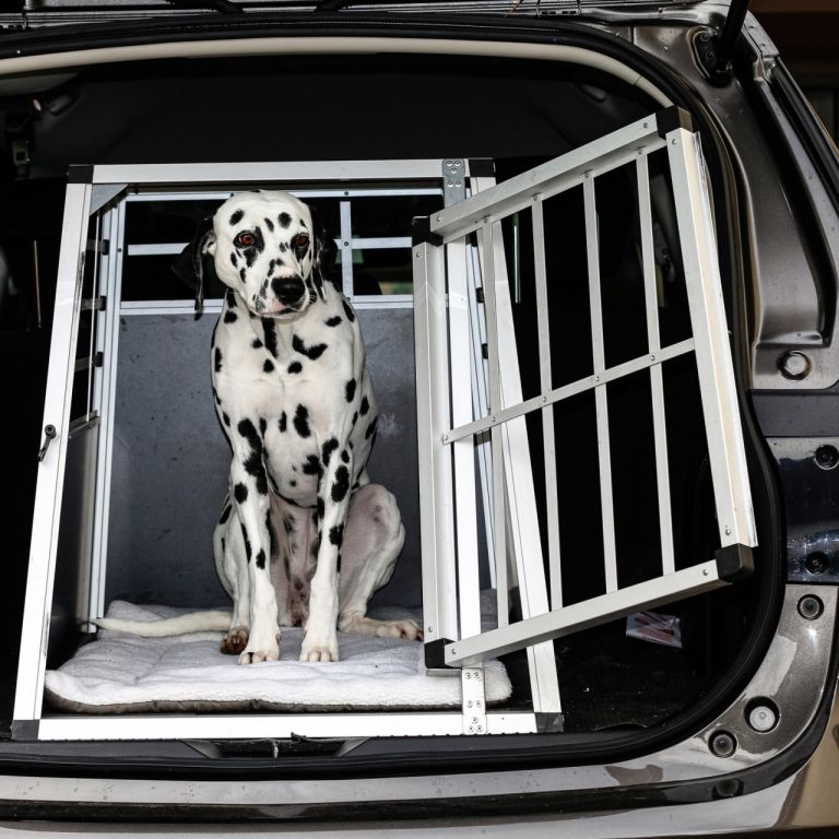 Hliníkový prepravný box pre psov, 54 × 69 × 60 cm, veľ. M
