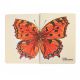 Poznámkový blok A5 s motýly