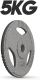 Physionics liatinový kotúč, 5 kg, 31 mm