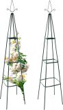 Kovová opora pre popínavé rastliny 195 cm, sada 2 ks