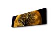 Dekoratívny svietiaci obraz MOON, 30 x 90 cm