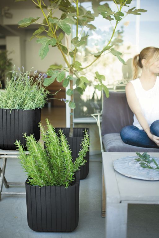 Obrázok Keter Cube planter M antracit