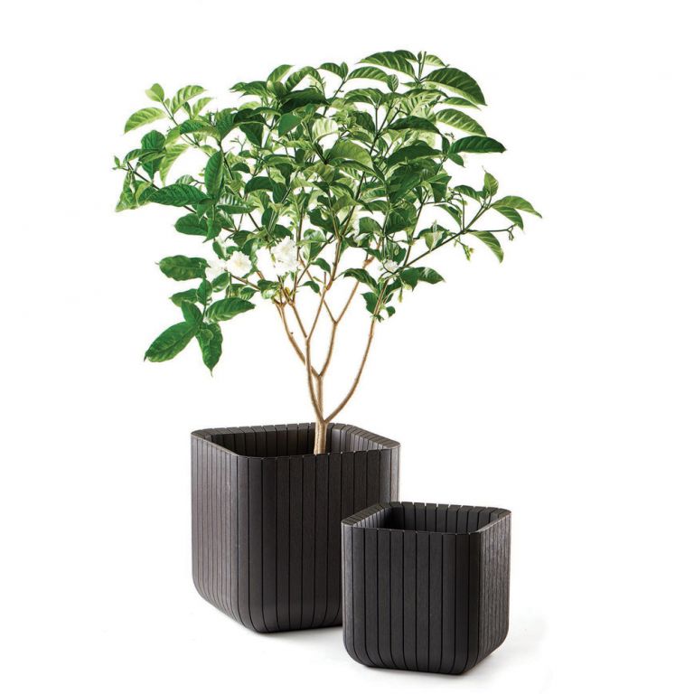 Obrázok Keter Cube planter M hnedý