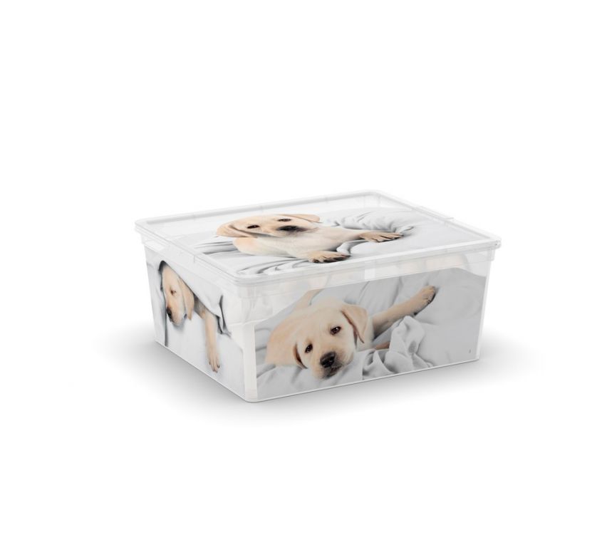 Obrázok KIS C-Box Puppy & Kitten M 18l (84090002054)